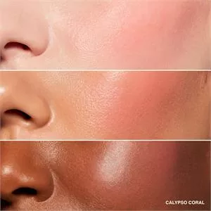 Bobbi Brown Pot Rouge for Lips & Cheeks